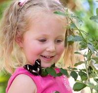 Coffs Harbour Butterfly House - Accommodation Resorts