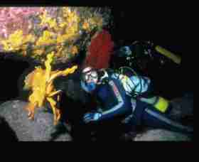 Solitary Islands Marine Park - Accommodation Resorts 0