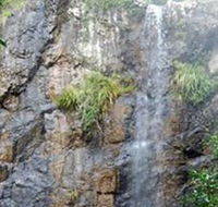 Wedding Bells Forest Drive - Accommodation Resorts