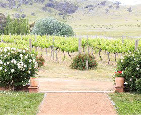 Brindabella Hills Winery - Accommodation Resorts 0