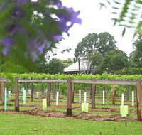 Douglas Vale Historic Homestead  Vineyard - Accommodation Resorts