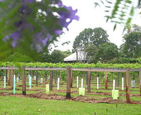 Douglas Vale Historic Homestead & Vineyard - Accommodation Resorts 0