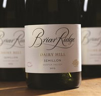 Briar Ridge Vineyard - Accommodation Resorts