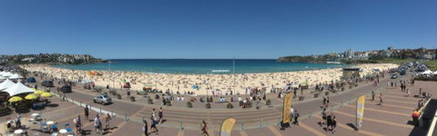 Real Sydney Tours - Accommodation Resorts 2