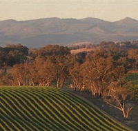 Angullong Wines - Accommodation Resorts