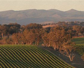 Angullong Wines - Accommodation Resorts 0