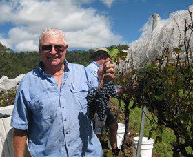 Razorback Ridge Wines - Accommodation Resorts 8