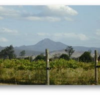 Ironbark Ridge Vineyard - Accommodation Resorts