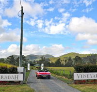 Sarabah Estate Vineyard - Accommodation Resorts