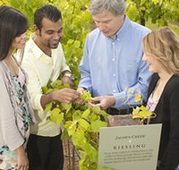 Jacob's Creek Vineyard Tour - Accommodation Resorts