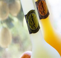 Ambra Limoncello - Accommodation Resorts