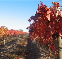 Kooyonga Creek Wines - Accommodation Resorts