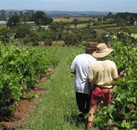 Sir Paz Estate - Accommodation Resorts