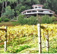 Peveril Vineyard/Beechy Berries - Accommodation Resorts