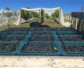 Three Willows Vineyard - Accommodation Resorts 1