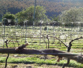 Red Hills TAS Accommodation Resorts