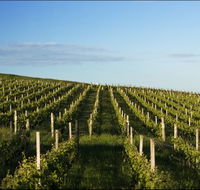 Delamere Vineyard - Accommodation Resorts