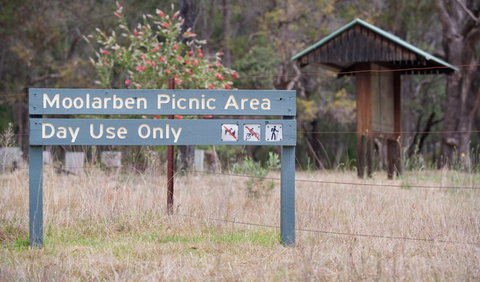 Moolarben Picnic Area - Accommodation Resorts 1
