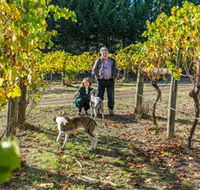 Little River Wines of Taggerty - Accommodation Resorts