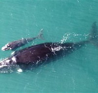 Fazshot Photography - Accommodation Resorts