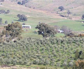Wymah Organic Olives And Lambs - Accommodation Resorts 0