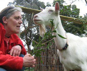 Karmic Goat Soapworks - Accommodation Resorts 2