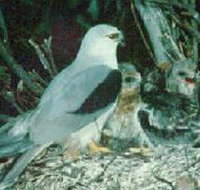 Bushy Park Wetlands - Accommodation Resorts