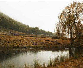 Logan Wines - Accommodation Resorts 6