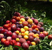 Rayner's Orchard - Accommodation Resorts