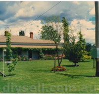 Tumut Valley Violets - Accommodation Resorts