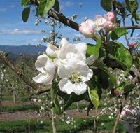 Mouat's Farm - Accommodation Resorts