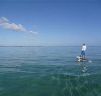 Peninsula Stand Up Paddle - Accommodation Resorts