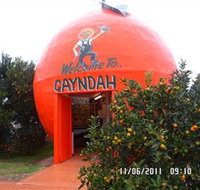 Gayndahs Big Orange - Accommodation Resorts