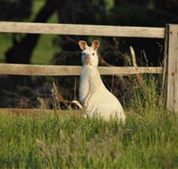 Panorama Garden Estate - Accommodation Resorts