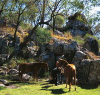 Coomba Falls - Accommodation Resorts