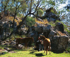 Coomba Falls - Accommodation Resorts 0