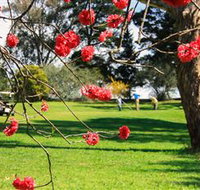 The Yass Golf Club - Accommodation Resorts