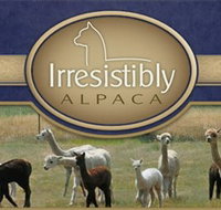 Marchmont Park Alpacas - Accommodation Resorts