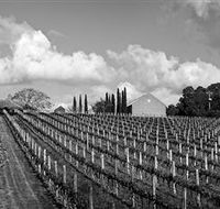 Willow Creek Vineyard - Accommodation Resorts