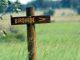 Accommodation Resorts