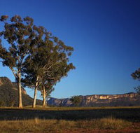 Capertee Valley Bird Trail - Accommodation Resorts