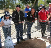 Fossil Rock - Accommodation Resorts