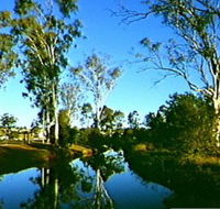 Dingo Creek Park - Accommodation Resorts