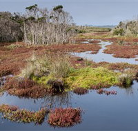 French Island National Park - Accommodation Resorts