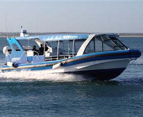 Phillip Island Nature Parks - Accommodation Resorts 2