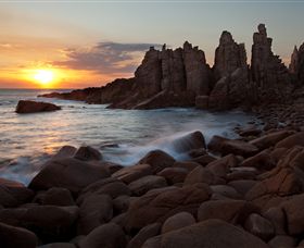 Phillip Island Nature Parks - Accommodation Resorts 6