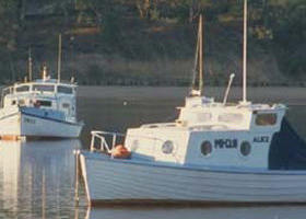 Western Port - Accommodation Resorts 0