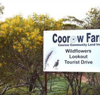 Coorow Farm Wildflower Trail - Accommodation Resorts