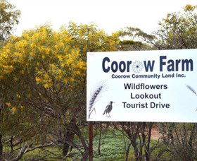 Coorow Farm Wildflower Trail - Accommodation Resorts 0