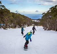 Mt Baw Baw Alpine Resort - Accommodation Resorts